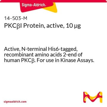 PKC&#946;I Protein, active, 10 &#181;g Active, N-terminal His6-tagged, recombinant amino acids 2-end of human PKC&#946;. For use in Kinase Assays.