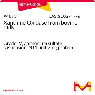 Xanthine Oxidase from bovine milk Grade IV, ammonium sulfate suspension, &#8805;0.1&#160;units/mg protein