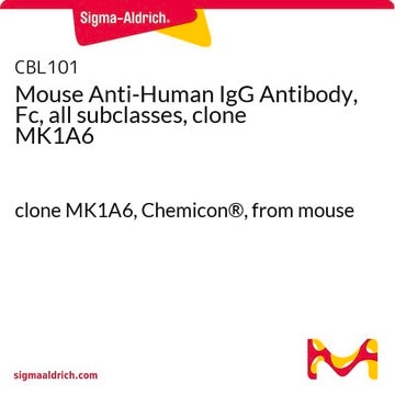 Mouse Anti-Human IgG Antibody, Fc, all subclasses, clone MK1A6 clone MK1A6, Chemicon&#174;, from mouse