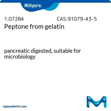 Peptone from gelatin pancreatic digested, suitable for microbiology