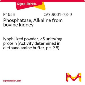 Phosphatase, Alkaline from bovine kidney lyophilized powder, &#8805;5&#160;units/mg protein (Activity determined in diethanolamine buffer, pH&nbsp;9.8)