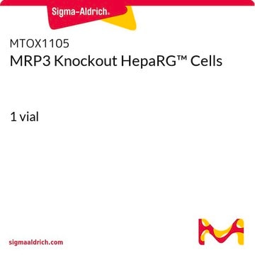 MRP3 Knockout HepaRG&#8482; Cells 1 vial