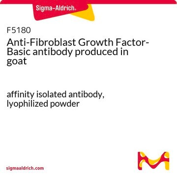 抗塩基性繊維芽細胞増殖因子抗体 ヤギ宿主抗体 affinity isolated antibody, lyophilized powder