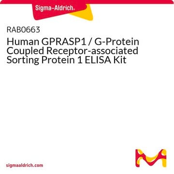 Human GPRASP1 / G-Protein Coupled Receptor-associated Sorting Protein 1 ELISA Kit