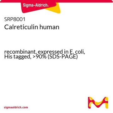 Calreticulin human recombinant, expressed in E. coli, His tagged, &gt;90% (SDS-PAGE)