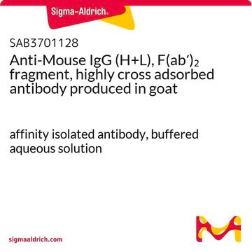 Anti-Mouse IgG (H+L), F(ab&#8242;)2 fragment, highly cross adsorbed antibody produced in goat affinity isolated antibody, buffered aqueous solution