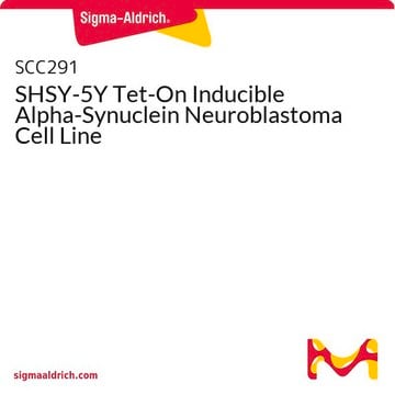 SHSY-5Y Tet-On Inducible Alpha-Synuclein Neuroblastoma Cell Line