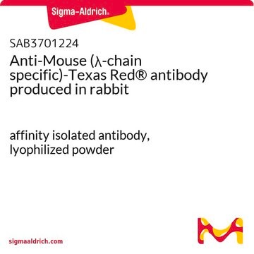 Anti-Mouse (&#955;-chain specific)-Texas Red&#174; antibody produced in rabbit affinity isolated antibody, lyophilized powder