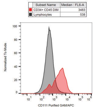 Monoclonal Anti-CD111 antibody produced in mouse clone R1.302