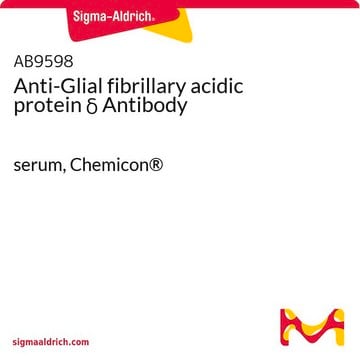 Anti-Glial fibrillary acidic protein &#948; Antibody serum, Chemicon&#174;