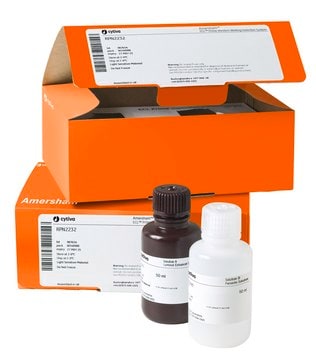 ECL&#8482; Prime Western-Blot-Detektionsreagenz Cytiva RPN2236