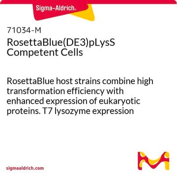 RosettaBlue(DE3)pLysS Competent Cells RosettaBlue host strains combine high transformation efficiency with enhanced expression of eukaryotic proteins. T7 lysozyme expression suppresses basal T7 expression.