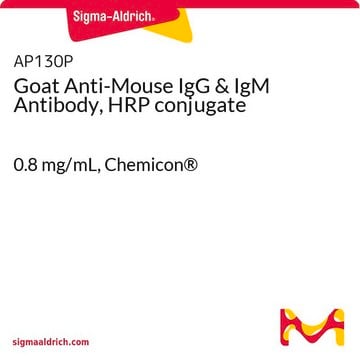 Anticorpo di capra anti-IgG &amp; IgM di topo, coniugato con HRP 0.8&#160;mg/mL, Chemicon&#174;