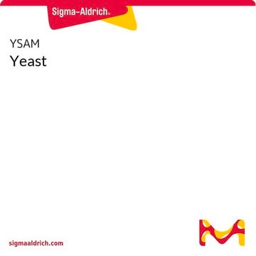 Yeast