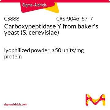 Carboxypeptidase&#160;Y from baker’s yeast (S.&#160;cerevisiae) lyophilized powder, &#8805;50&#160;units/mg protein