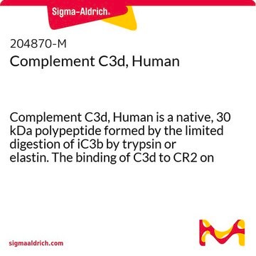 补体C3d，人 Complement C3d, Human is a native, 30 kDa polypeptide formed by the limited digestion of iC3b by trypsin or elastin. The binding of C3d to CR2 on B lymphocytes enhances B cell activation.