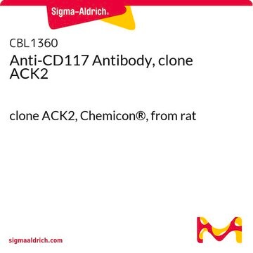 Anti-CD117 Antibody, clone ACK2 clone ACK2, Chemicon&#174;, from rat