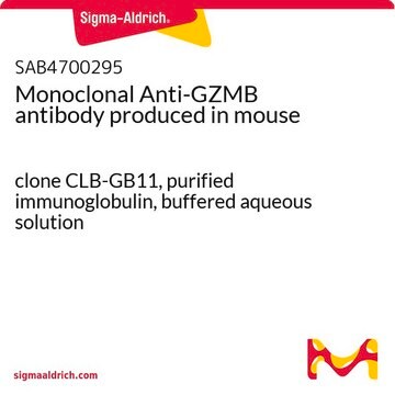 Monoclonal Anti-GZMB antibody produced in mouse clone CLB-GB11, purified immunoglobulin, buffered aqueous solution