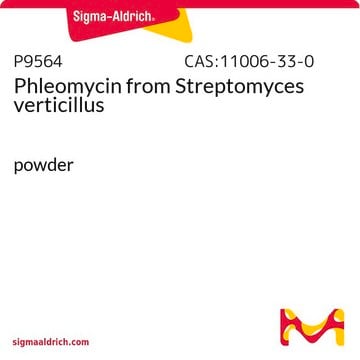 Phleomycin aus Streptomyces verticillus powder