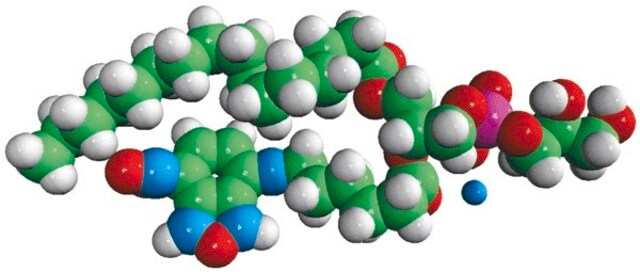 Acyl 06:0 NBD PG Avanti Research&#8482; - A Croda Brand 810136P, powder