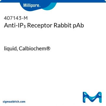 Anti-IP&#8323; Receptor Rabbit pAb liquid, Calbiochem&#174;