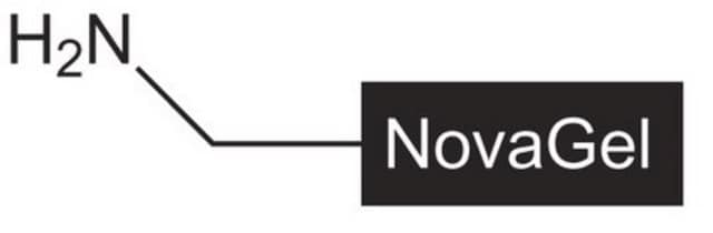 Aminomethyl NovaGel Novabiochem&#174;