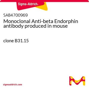 Monoclonal Anti-beta Endorphin antibody produced in mouse clone B31.15