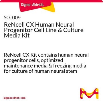 ReNcell CX Human Neural Progenitor Cell Line &amp; Culture Media Kit ReNcell CX Kit contains human neural progenitor cells, optimized maintenance media &amp; freezing media for culture of human neural stem cells.