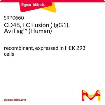 Human-igg1-fc-sequence | Sigma-Aldrich