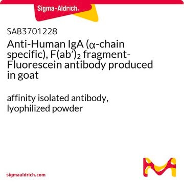 Anti-Human IgA (&#945;-chain specific), F(ab&#8242;)2 fragment-Fluorescein antibody produced in goat affinity isolated antibody, lyophilized powder