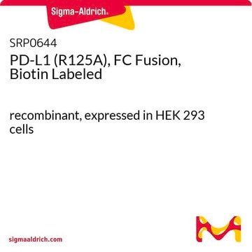 PD-L1 (R125A), FC Fusion, Biotin Labeled recombinant, expressed in HEK 293 cells