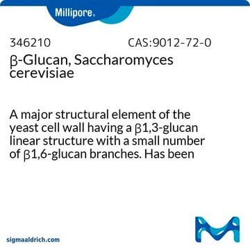 &#946;-Glucan, Saccharomyces cerevisiae A major structural element of the yeast cell wall having a &#946;1,3-glucan linear structure with a small number of &#946;1,6-glucan branches. Has been shown to induce an oxidative burst response from NR8383 cells.