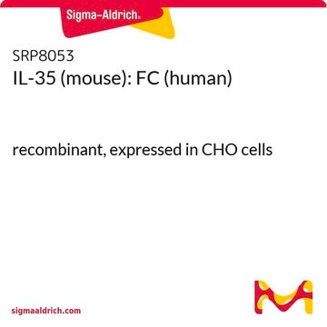 IL-35 (Maus): FC (human) recombinant, expressed in CHO cells