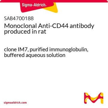 Monoclonal Anti-CD44 antibody produced in rat clone IM7, purified immunoglobulin, buffered aqueous solution