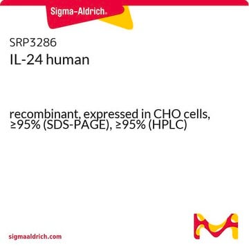 IL-24 human recombinant, expressed in CHO cells, &#8805;95% (SDS-PAGE), &#8805;95% (HPLC)