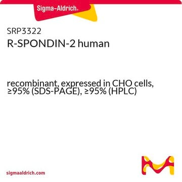 R-SPONDIN-2 human recombinant, expressed in CHO cells, &#8805;95% (SDS-PAGE), &#8805;95% (HPLC)