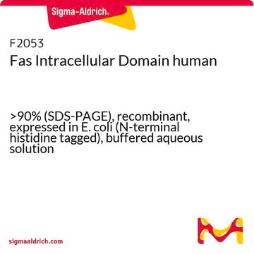 Fas Intracellular Domain human &gt;90% (SDS-PAGE), recombinant, expressed in E. coli (N-terminal histidine tagged), buffered aqueous solution