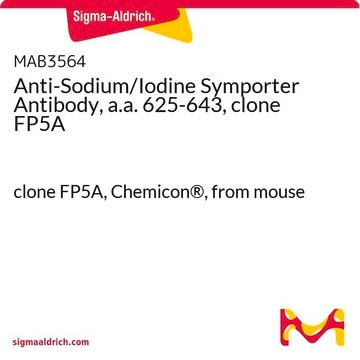 Anti-Sodium/Iodine Symporter Antibody, a.a. 625-643, clone FP5A clone FP5A, Chemicon&#174;, from mouse