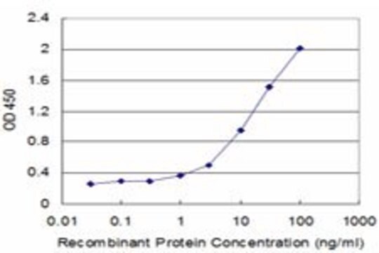 Monoclonal Anti-ID1 antibody produced in mouse clone 4G7, purified immunoglobulin, buffered aqueous solution