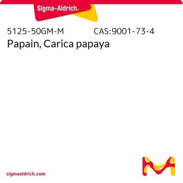 Papain, Carica papaya