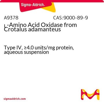 L-Amino Acid Oxidase from Crotalus adamanteus Type IV, &#8805;4.0&#160;units/mg protein, aqueous suspension