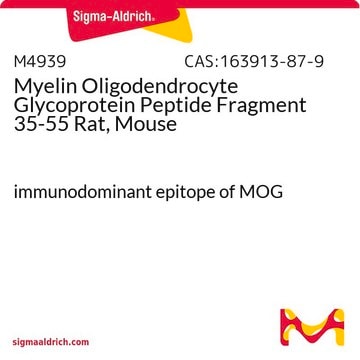 Myelin-Oligodendrozyten-Glykoprotein-Peptidfragment 35–55 von der Ratte/Maus immunodominant epitope of MOG