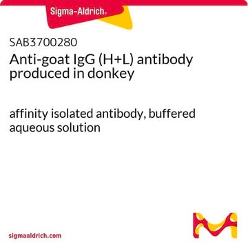 Anti-goat IgG (H+L) antibody produced in donkey affinity isolated antibody, buffered aqueous solution