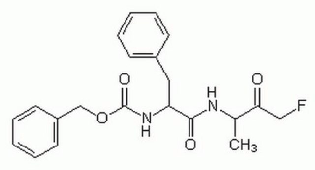 Caspase Inhibitor, Negative Control The Caspase Inhibitor, Negative Control, also referenced under CAS 105637-38-5, controls the biological activity of Caspase. This small molecule/inhibitor is primarily used for Cancer applications.