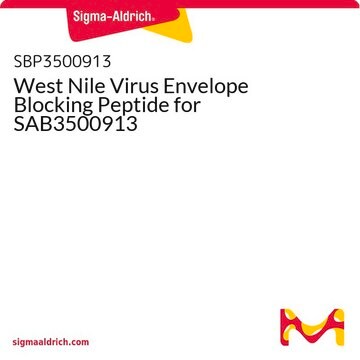 West Nile Virus Envelope Blocking Peptide for SAB3500913