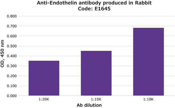 Anti-Endothelin antibody produced in rabbit whole antiserum