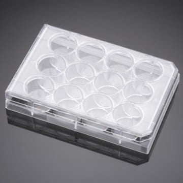 Corning&#174; Falcon&#174; Cell Culture Plate wells, 12, Tissue Culture (TC)-treated surface, flat bottom clear wells, sterile