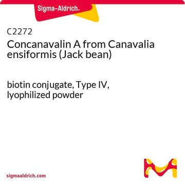 Concanavalin A aus Canavalia ensiformis (Jack bean) biotin conjugate, Type IV, lyophilized powder