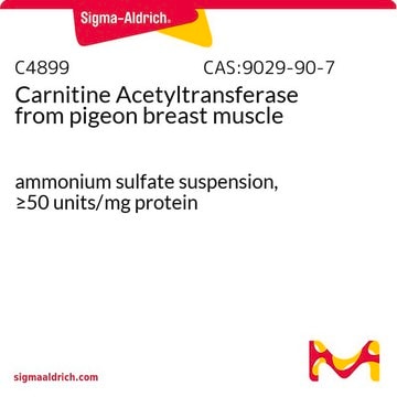 Carnitina acetiltransferasi ammonium sulfate suspension, &#8805;50&#160;units/mg protein