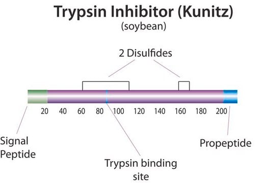 Trypsin Inhibitor, Soybean, High Activity Trypsin Inhibitor, Soybean, High Activity, CAS 9035-81-8 is of the several protease inhibitors in soybeans. Inhibits trypsin in 1:1 stoichiometry.